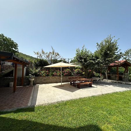 Apartmani Stanisic Čanj Buitenkant foto